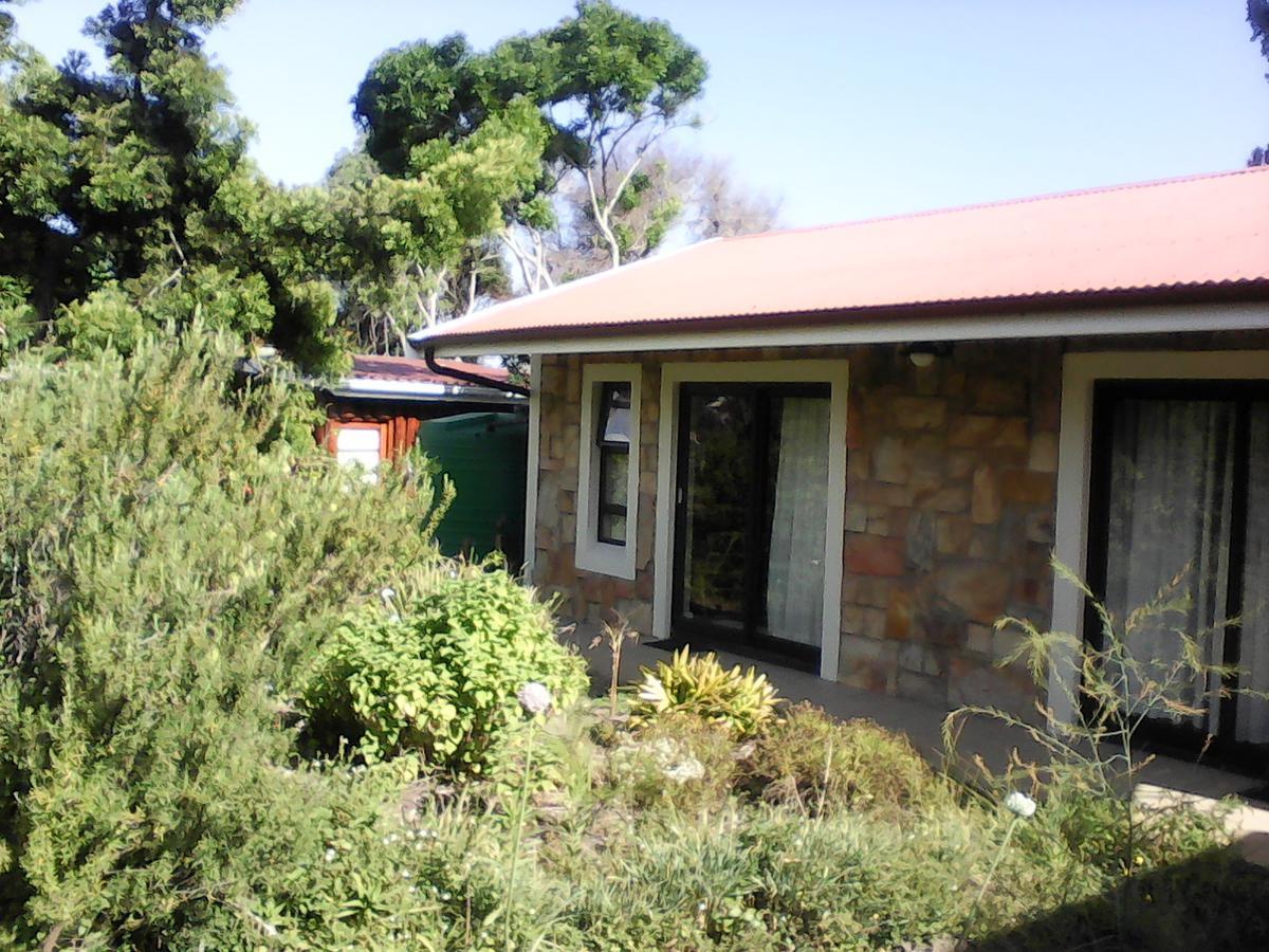 Forest Cove Cottage Knysna Buitenkant foto