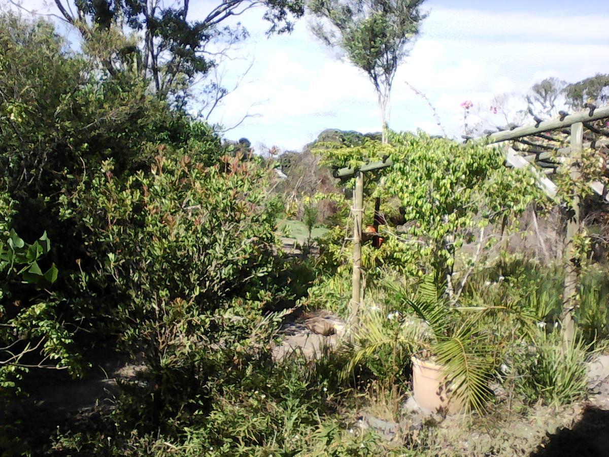 Forest Cove Cottage Knysna Buitenkant foto